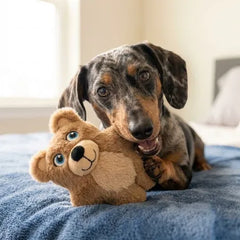 Snuzzles Kiddos Teddy Bear