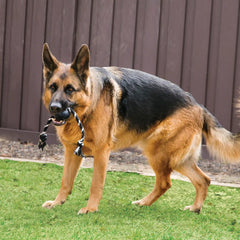 KONG Extreme Ball w/Rope