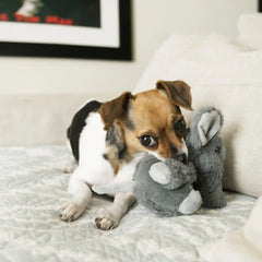 Comfort Kiddos Elephant