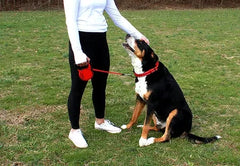 KONG Retractable Leash Terrain Red