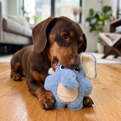 Snuzzles Kiddos Elephant